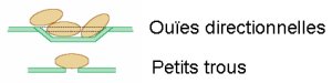 Ouïes directionnelles