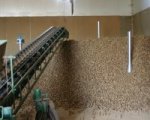 Remplissage au tapis